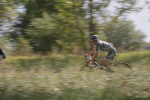 A cyclocross rider rounds a bend through tall grass.