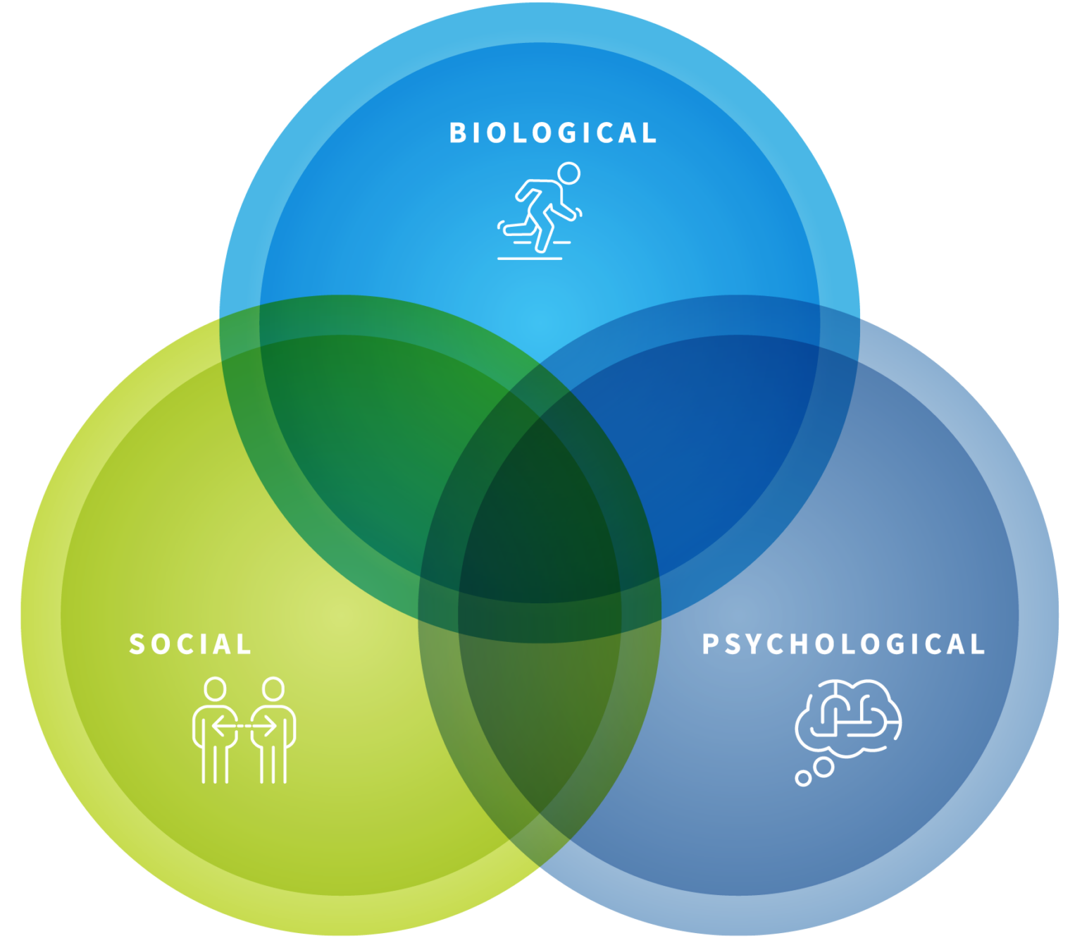 How The Biopsychosocial Approach Can Benefit Your Athletes