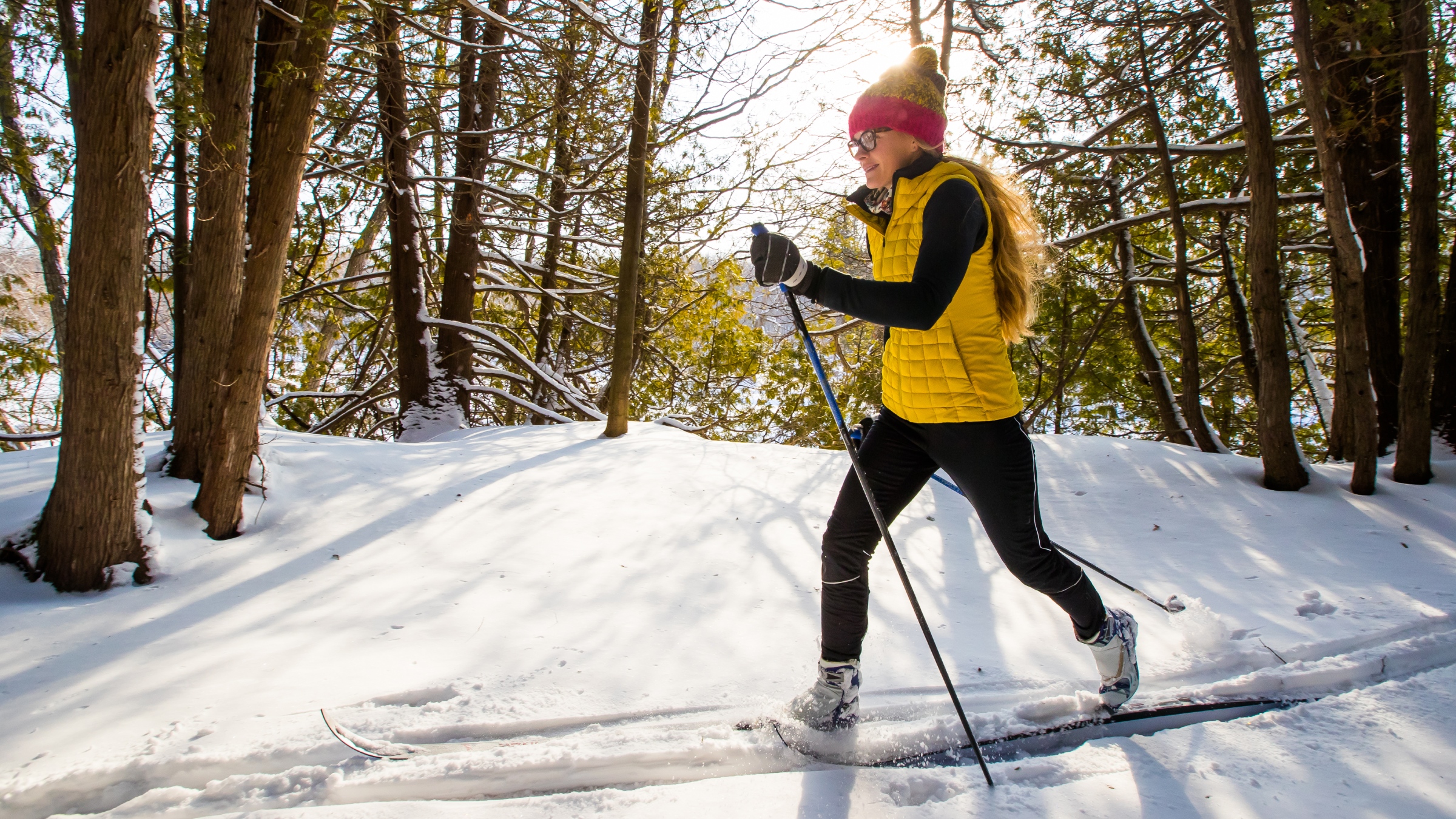 Nordic on sale ski trainer