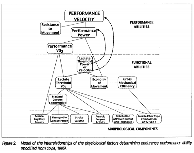 Graphic of factors that contribute to performance