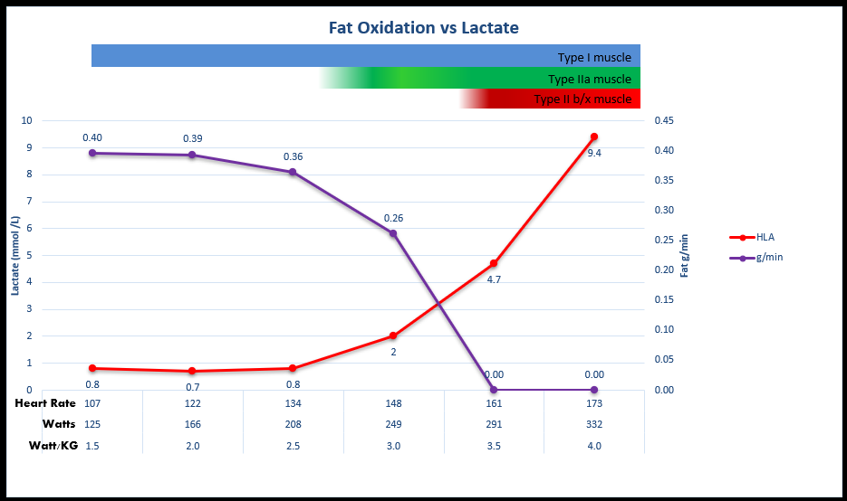 Metabolic test results, sample graph